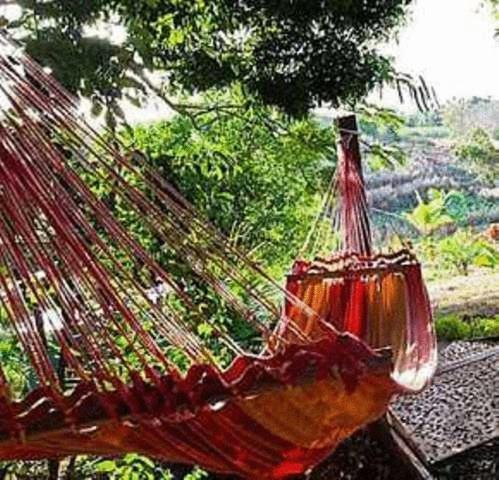 Palmlea Farms Lodge & Bures - Villas Labasa Zewnętrze zdjęcie