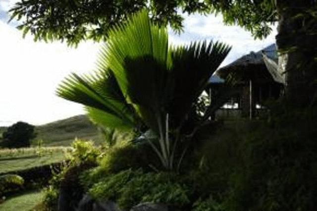 Palmlea Farms Lodge & Bures - Villas Labasa Zewnętrze zdjęcie
