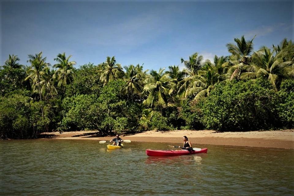 Palmlea Farms Lodge & Bures - Villas Labasa Zewnętrze zdjęcie